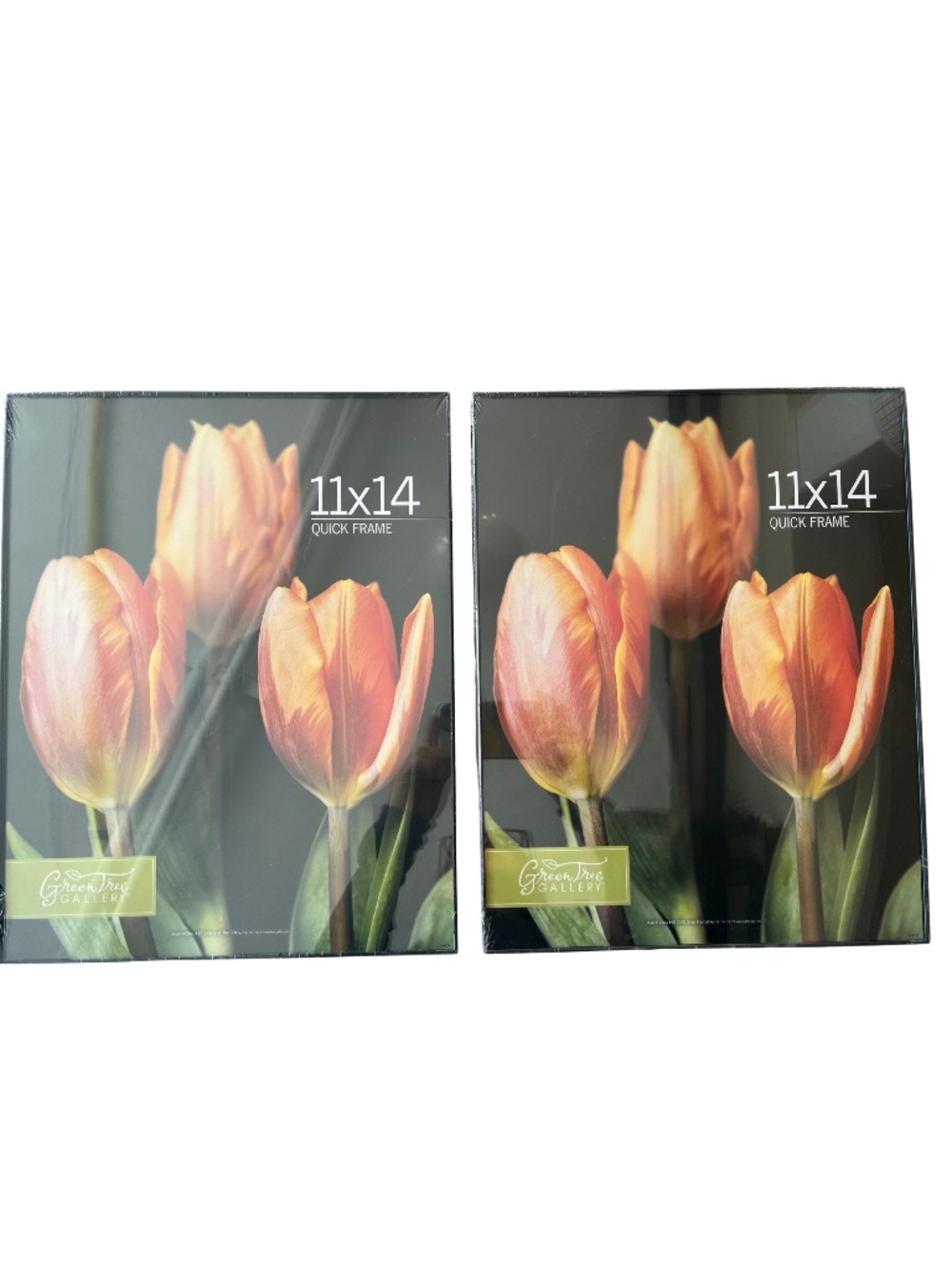 2 Green Tree Gallery NWT 11X14 Black Picture Frames